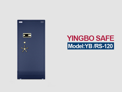 RS-120 การแสดงผลโดยละเอียดของตู้เครื่องประดับ